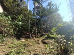 Terreno / Lote / Condomínio à venda no Pântano do Sul, Florianópolis - Foto 46