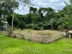 Fazenda / Sítio / Chácara com 6 Quartos à venda, 800m² no , Mendes - Foto 28