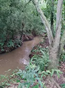 Fazenda / Sítio / Chácara com 2 Quartos à venda, 170000m² no Zona Rural, Monte Alegre de Minas - Foto 2