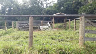 Fazenda / Sítio / Chácara com 2 Quartos à venda, 100m² no Centro, Pirenópolis - Foto 32