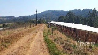 Fazenda / Sítio / Chácara à venda, 59000m² no , Tamarana - Foto 8