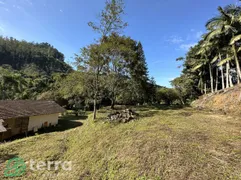 Fazenda / Sítio / Chácara com 3 Quartos à venda, 96m² no Encano do Norte, Indaial - Foto 6