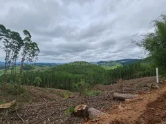 Terreno / Lote / Condomínio à venda, 20100m² no , Coronel Pacheco - Foto 27