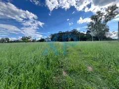 Fazenda / Sítio / Chácara com 3 Quartos à venda, 80m² no Zona Rural, São Sebastião do Oeste - Foto 17