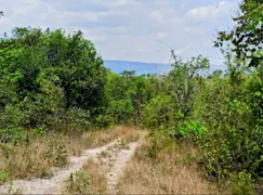 Fazenda / Sítio / Chácara com 2 Quartos à venda, 33m² no Zona Rural, Colinas do Sul - Foto 32