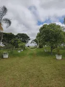 Fazenda / Sítio / Chácara com 3 Quartos à venda, 10m² no Centro, Iguaraçu - Foto 5