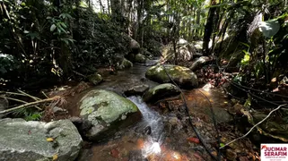 Fazenda / Sítio / Chácara com 3 Quartos à venda, 15000m² no Timbe, Tijucas - Foto 16