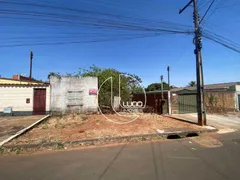 Terreno / Lote / Condomínio à venda, 300m² no Jardim Flor de Liz, Anápolis - Foto 3