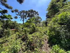 Fazenda / Sítio / Chácara à venda, 17832m² no Centro, Campos do Jordão - Foto 10