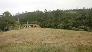 Fazenda / Sítio / Chácara com 2 Quartos à venda, 80m² no Zona Rural, São Miguel Arcanjo - Foto 16