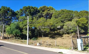 Terreno / Lote / Condomínio à venda, 1546m² no Vila Boeira, Canela - Foto 1