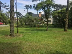 Terreno / Lote / Condomínio à venda, 740m² no Altos Pinheiros, Canela - Foto 9