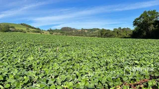 Terreno / Lote / Condomínio à venda, 580800m² no , São Pedro do Iguaçu - Foto 1