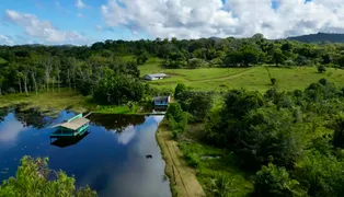 Fazenda / Sítio / Chácara com 5 Quartos à venda, 400000m² no Centro, Uruçuca - Foto 4