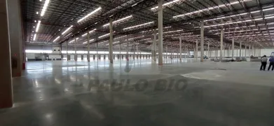 Galpão / Depósito / Armazém para alugar, 40000m² no Jardim Sao Francisco, Nova Odessa - Foto 12