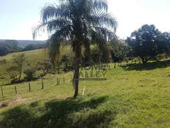 Fazenda / Sítio / Chácara com 2 Quartos à venda, 140m² no Lopes, Valinhos - Foto 111