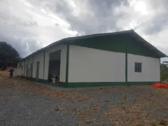 Fazenda / Sítio / Chácara com 4 Quartos à venda, 242000m² no Zona Rural, Itapetininga - Foto 81