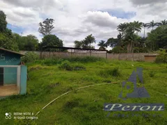Fazenda / Sítio / Chácara com 2 Quartos à venda, 3225m² no Conjunto Vale Azul, Sarandi - Foto 9