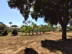 Fazenda / Sítio / Chácara com 8 Quartos à venda, 20000m² no Vila Guedes, Jaguariúna - Foto 38