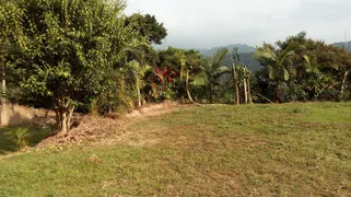 Fazenda / Sítio / Chácara com 3 Quartos à venda, 24000m² no Taboão, Mogi das Cruzes - Foto 17