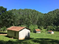 Fazenda / Sítio / Chácara com 2 Quartos à venda, 1621400m² no Centro, Itapeva - Foto 5