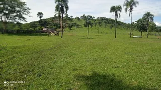 Fazenda / Sítio / Chácara à venda no Zona Rural, Bom Jardim de Goiás - Foto 12
