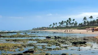 Casa de Condomínio com 2 Quartos à venda, 85m² no Vilas do Atlantico, Lauro de Freitas - Foto 23