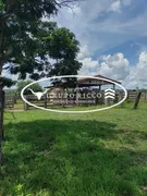 Fazenda / Sítio / Chácara à venda no Zona Rural, Nova Xavantina - Foto 14