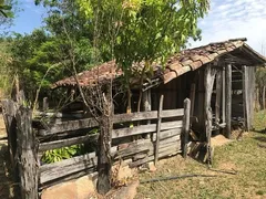 Fazenda / Sítio / Chácara com 3 Quartos à venda, 120m² no Zona Rural, Pirenópolis - Foto 46