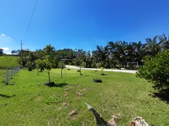 Fazenda / Sítio / Chácara com 3 Quartos à venda, 4500m² no Três Riachos, Biguaçu - Foto 11