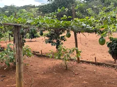 Fazenda / Sítio / Chácara com 6 Quartos à venda, 42000m² no Setor Central, Bonfinópolis - Foto 19