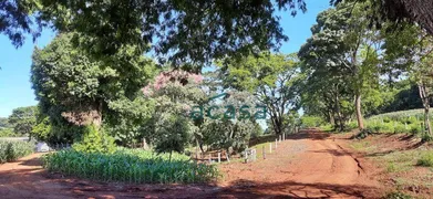 Fazenda / Sítio / Chácara à venda, 251500m² no Iguipora, Marechal Cândido Rondon - Foto 20