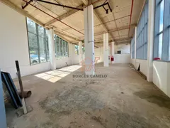 Loja / Salão / Ponto Comercial para alugar, 500m² no Vila da Serra, Nova Lima - Foto 2