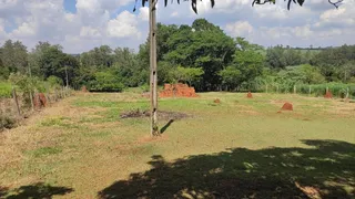 Fazenda / Sítio / Chácara com 2 Quartos à venda, 7000m² no Centro, Cesário Lange - Foto 3