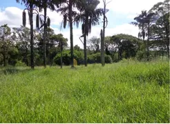 Terreno / Lote / Condomínio à venda, 79000m² no São Pedro, Itupeva - Foto 5