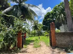 Fazenda / Sítio / Chácara à venda, 10000m² no Arembepe, Camaçari - Foto 4