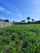 Fazenda / Sítio / Chácara com 4 Quartos à venda, 130m² no Zona Rural, São José de Mipibu - Foto 22