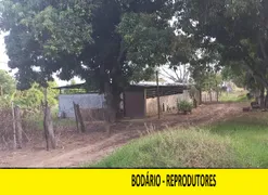 Fazenda / Sítio / Chácara com 2 Quartos à venda, 90000m² no Area Rural do Paranoa, Brasília - Foto 68