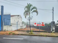 Terreno / Lote / Condomínio à venda, 484m² no Alto Cafezal, Marília - Foto 1