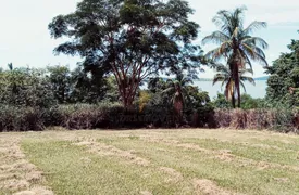 Terreno / Lote / Condomínio com 1 Quarto à venda, 1m² no Zona Rural, Porecatu - Foto 6