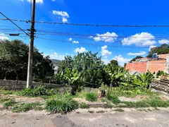 Terreno / Lote Comercial à venda, 2000m² no Fazendinha, Santana de Parnaíba - Foto 2