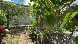 Fazenda / Sítio / Chácara com 3 Quartos à venda, 140m² no Nova Descoberta, Tijucas - Foto 14