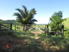 Fazenda / Sítio / Chácara com 3 Quartos à venda, 2081200m² no Zona Rural, Rio Bonito - Foto 16
