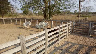 Fazenda / Sítio / Chácara à venda no Zona Rural, Poconé - Foto 20