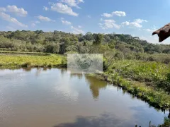 Fazenda / Sítio / Chácara com 7 Quartos à venda, 18000m² no Bateias de Baixo, Campo Alegre - Foto 8