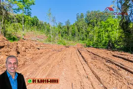 Fazenda / Sítio / Chácara à venda, 168700m² no Zona Rural, Três Coroas - Foto 9