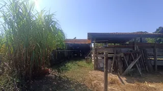 Fazenda / Sítio / Chácara com 3 Quartos à venda, 24200m² no Vale Santa Felicidade, São Carlos - Foto 67