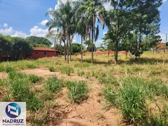 Fazenda / Sítio / Chácara com 1 Quarto à venda, 3808m² no Centro Engenheiro Schmitt, São José do Rio Preto - Foto 1