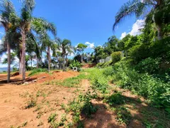 Terreno / Lote / Condomínio à venda, 2200m² no Graminha, Juiz de Fora - Foto 6