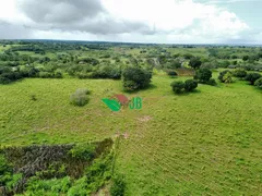 Fazenda / Sítio / Chácara com 3 Quartos à venda, 100m² no Centro, Alagoa Nova - Foto 1